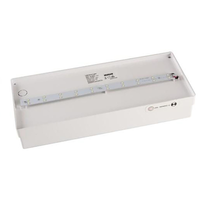 LiFePO4 3.2V 1.5 Ah জরুরী প্রস্থান হালকা সাদা 4W EGS4DLiA সময়কাল 3 ঘন্টা